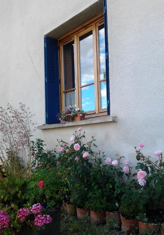 Bed and Breakfast L'Orme-Vial Saint-Galmier Exterior foto